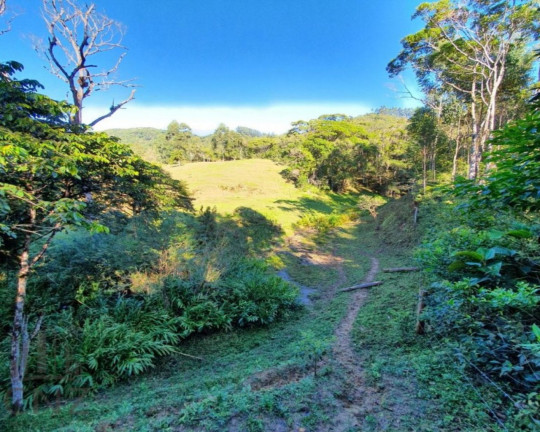 Imagem Imóvel com 1 Quarto à Venda, 96.000 m² em Dom Joaquim - Brusque