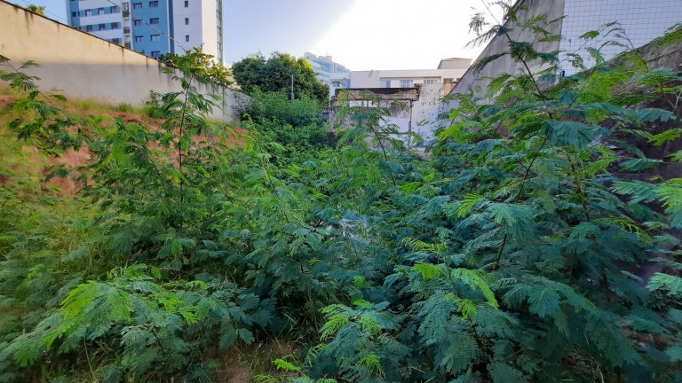 Imagem Terreno à Venda, 378 m² em Gutierrez - Belo Horizonte