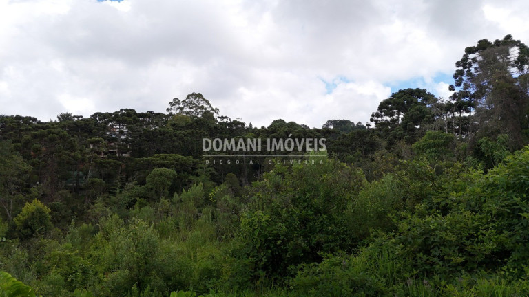 Imagem Terreno à Venda, 1.590 m² em Região De Capivari - Campos Do Jordão
