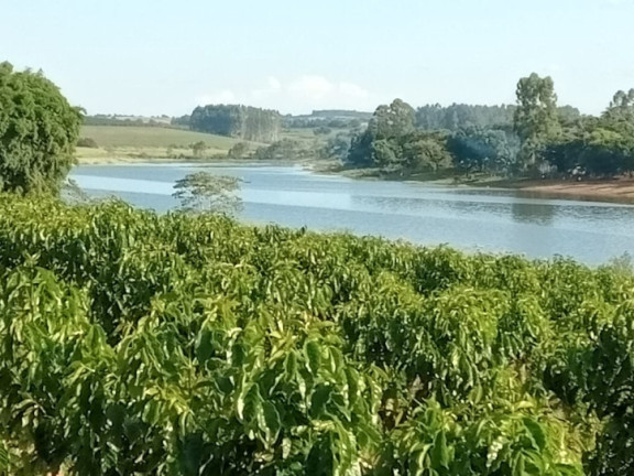 Imagem Chácara com 3 Quartos à Venda, 2.000 m² em Centro - Alfenas Imagem Chácara com 3 Quartos à Venda, 2.000 m² em Centro - Alfenas