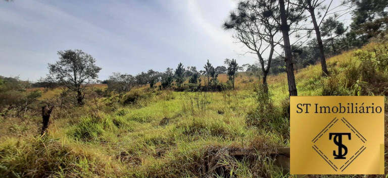 Imagem Chácara com 3 Quartos à Venda, 72.000 m² em Estância Santa Maria Do Portão - Atibaia Imagem Chácara com 3 Quartos à Venda, 72.000 m² em Estância Santa Maria Do Portão - Atibaia