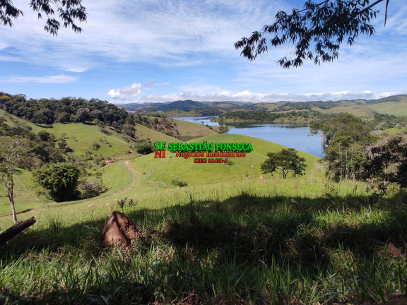 Imagem Chácara à Venda, 20.000 m² em Centro - Paraibuna