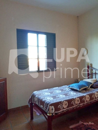 Imagem Casa com 4 Quartos à Venda, 150 m² em Tucuruvi - São Paulo Imagem Casa com 4 Quartos à Venda, 150 m² em Tucuruvi - São Paulo
