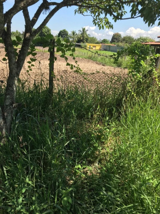 Imagem Terreno à Venda, 2.000 m² em Pedro Leme - Roseira