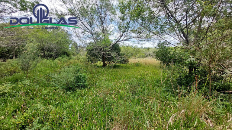Imagem Chácara à Venda, 20.000 m² em águas Claras - Viamão Imagem Chácara à Venda, 20.000 m² em águas Claras - Viamão