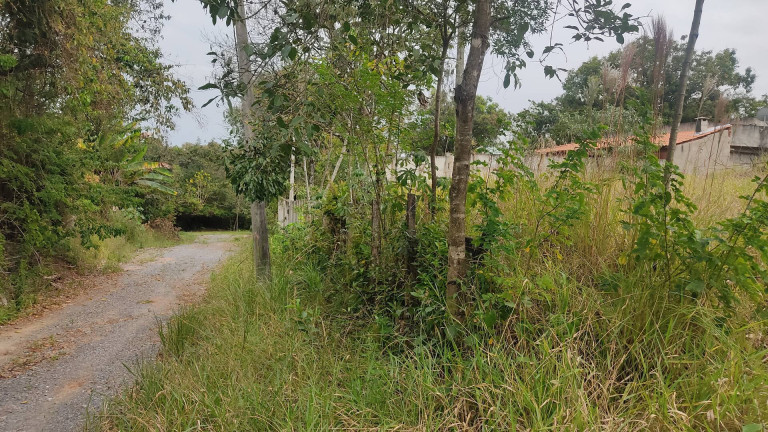 Imagem Chácara à Venda, 1 m² em Bosque Dos Eucaliptos - Araçoiaba Da Serra Imagem Chácara à Venda, 1 m² em Bosque Dos Eucaliptos - Araçoiaba Da Serra