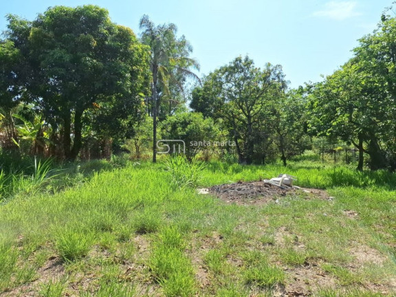 Imagem Imóvel com 2 Quartos à Venda, 2.900 m² em Embaúzinho - Cachoeira Paulista Imagem Imóvel com 2 Quartos à Venda, 2.900 m² em Embaúzinho - Cachoeira Paulista
