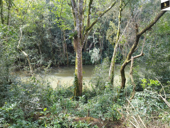 Imóvel com 3 Quartos à Venda, 48.400 m² em Colônia Murici - São José Dos Pinhais