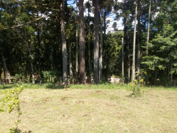 Imagem Casa com 3 Quartos à Venda, 160 m² em Linha Imperial - Nova Petrópolis