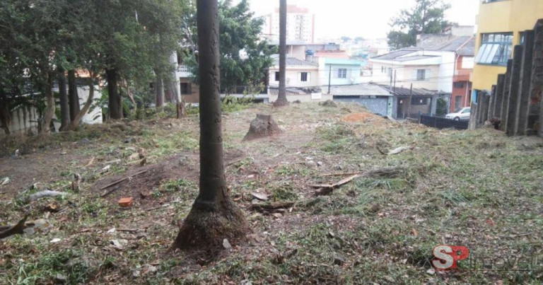 Imagem Terreno à Venda, 912 m² em Vila Ivone - São Paulo