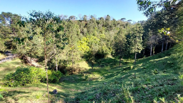 Imóvel com 7 Quartos à Venda, 30.000 m² em Zona Rural - Agrolândia