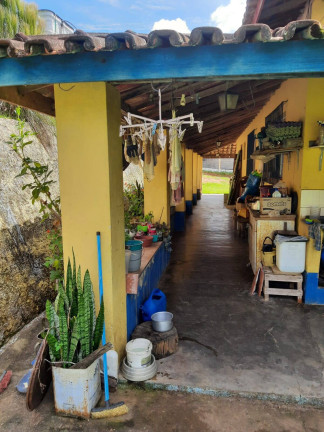 Imagem Chácara com 4 Quartos à Venda, 3 m² em Cachoeira Abaixo - Piracaia