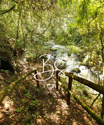 Imagem Imóvel com 2 Quartos à Venda, em Vale Do Quilombo - Gramado Imagem Imóvel com 2 Quartos à Venda, em Vale Do Quilombo - Gramado