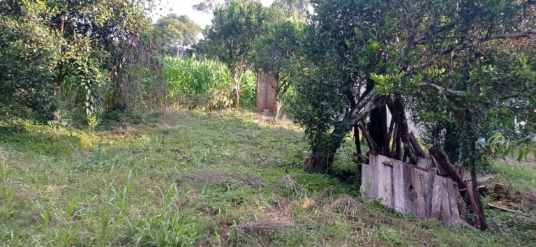 Imagem Chácara com 2 Quartos à Venda, 5.445 m² em Centro - Agudos Do Sul