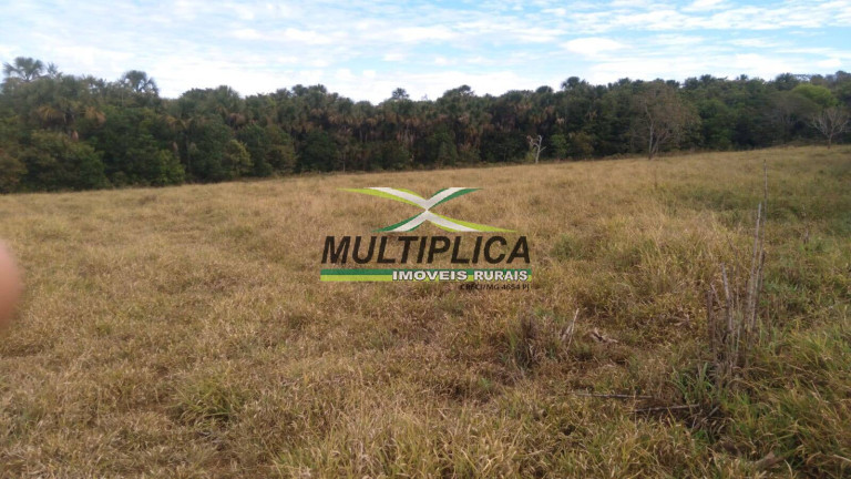 Imagem Chácara à Venda, 2 m² em Uberlândia Imagem Chácara à Venda, 2 m² em Uberlândia