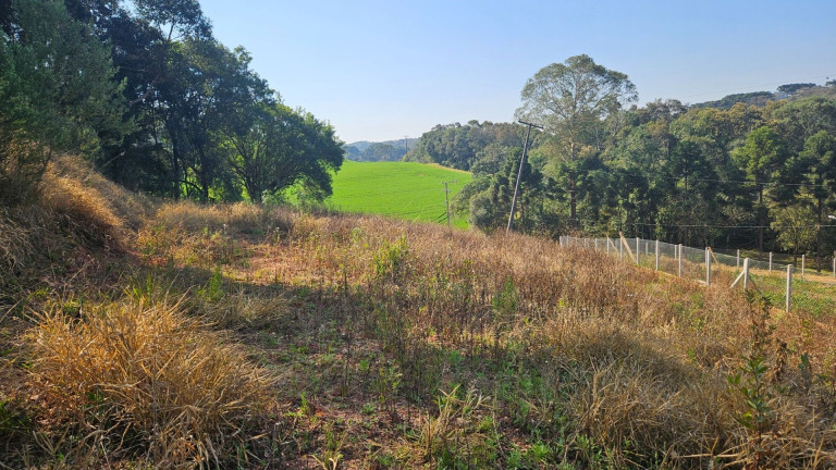 Imagem Fazenda à Venda, em Zona Rural - Araucaria Imagem Fazenda à Venda, em Zona Rural - Araucaria