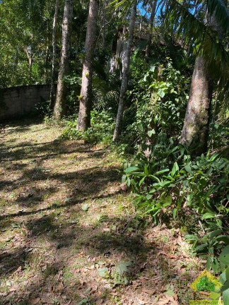 Imagem Terreno à Venda, 2.010 m² em Ponta Grossa - Ubatuba Imagem Terreno à Venda, 2.010 m² em Ponta Grossa - Ubatuba