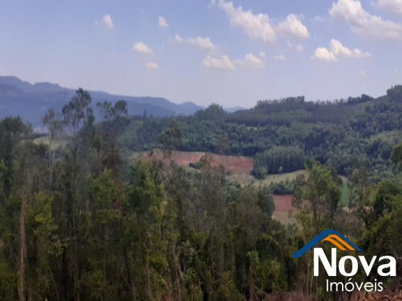 Imagem Imóvel à Venda,  em Linha Olinda - Nova Petrópolis