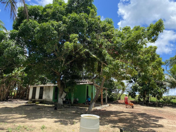 Imagem Imóvel com 5 Quartos à Venda, 780.000 m² em Zona Rual - Simões Filho Imagem Imóvel com 5 Quartos à Venda, 780.000 m² em Zona Rual - Simões Filho