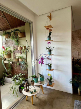 Imagem Apartamento com 3 Quartos à Venda, 157 m² em Butantã - São Paulo Imagem Apartamento com 3 Quartos à Venda, 157 m² em Butantã - São Paulo