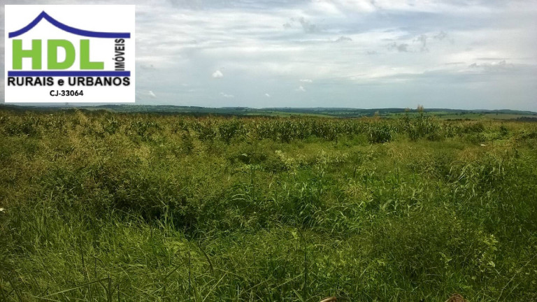 Imagem Fazenda à Venda, 38 m² em Zona Rural - Piracanjuba Imagem Fazenda à Venda, 38 m² em Zona Rural - Piracanjuba