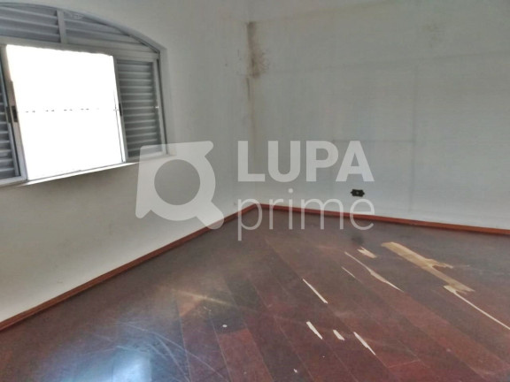 Imagem Casa com 3 Quartos à Venda, 482 m² em Vila Constança - São Paulo Imagem Casa com 3 Quartos à Venda, 482 m² em Vila Constança - São Paulo