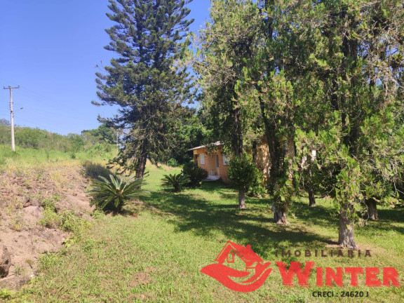 Imagem Chácara com 3 Quartos à Venda, 70.000 m² em Vale Do Lobo - Feliz