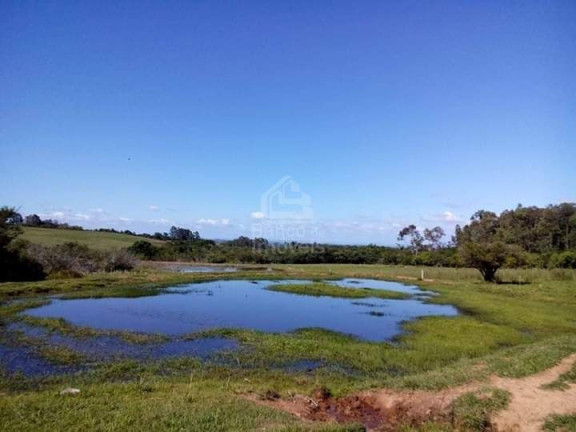 Imagem Imóvel com 3 Quartos à Venda, 62.000 m² em Zona Rural - Formigueiro