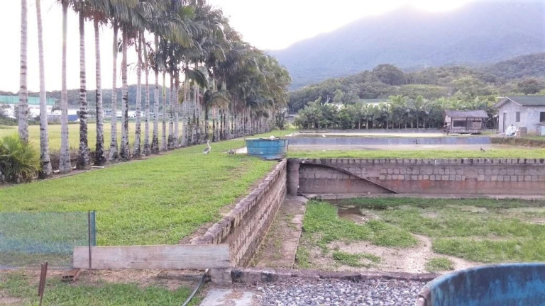 Imagem Terreno à Venda, em Urubuquara - Garuva Imagem Terreno à Venda, em Urubuquara - Garuva
