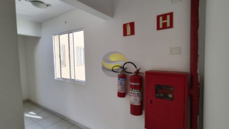 Imagem Apartamento com 3 Quartos à Venda, 55 m² em Vila São Joaquim - Cotia