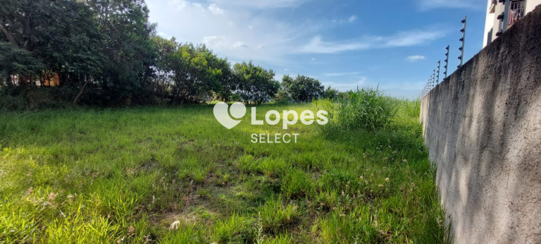 Imagem Terreno à Venda, 1.000 m² em Vila Omízollo - Louveira