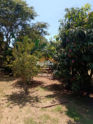 Imagem Imóvel com 1 Quarto à Venda, 800 m² em Chacaras Bulgarelli - Mogi Mirim Imagem Imóvel com 1 Quarto à Venda, 800 m² em Chacaras Bulgarelli - Mogi Mirim