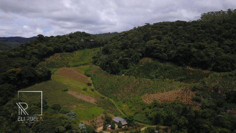 Imagem Chácara com 3 Quartos à Venda, 30.000 m² em Boa Esperança - Marechal Floriano