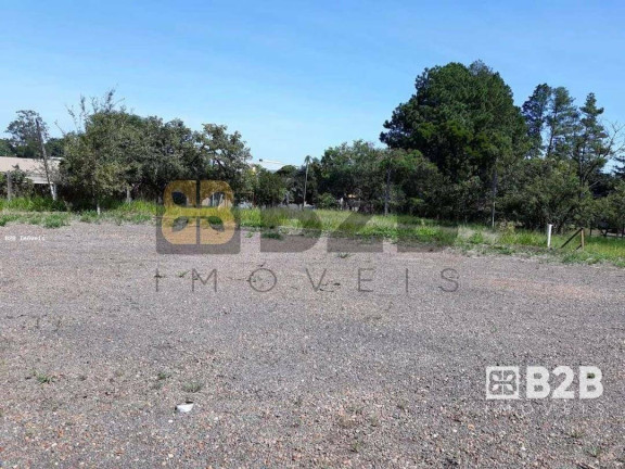Imagem Galpão à Venda, 1.200 m² em Distrito Industrial Domingos Biancardi - Bauru