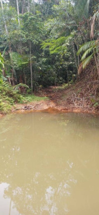Imagem Chácara à Venda, 30.000 m² em Santa Maria De Marechal - Marechal Floriano Imagem Chácara à Venda, 30.000 m² em Santa Maria De Marechal - Marechal Floriano