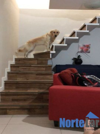 Imagem Casa com 2 Quartos à Venda, 80 m² em Jardim Jaraguá - São Paulo
