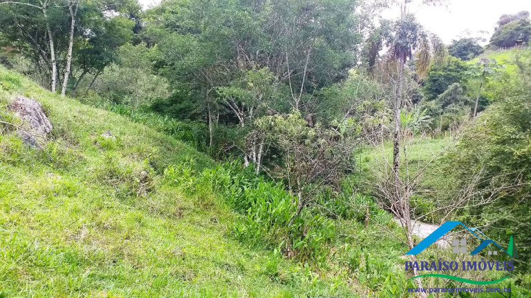 Imagem Chácara à Venda, 7 m² em Centro - Paraisópolis Imagem Chácara à Venda, 7 m² em Centro - Paraisópolis