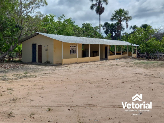 Imóvel com 1 Quarto à Venda,  em área Rural De Barreiras - Barreiras