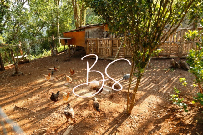 Imagem Imóvel com 2 Quartos à Venda, 87.000 m² em Centro - Canela