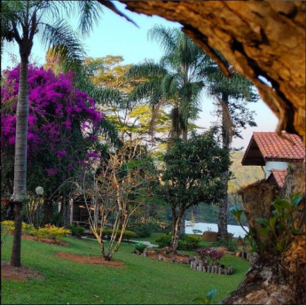 Imagem Chácara com 4 Quartos à Venda, 10.000 m² em Jardim Santa Vitória (canguera) - São Roque Imagem Chácara com 4 Quartos à Venda, 10.000 m² em Jardim Santa Vitória (canguera) - São Roque