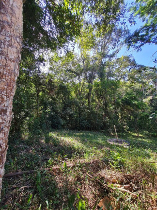 Imagem Casa com 2 Quartos à Venda, 5.567 m² em Bairro Paineira - Pilar Do Sul