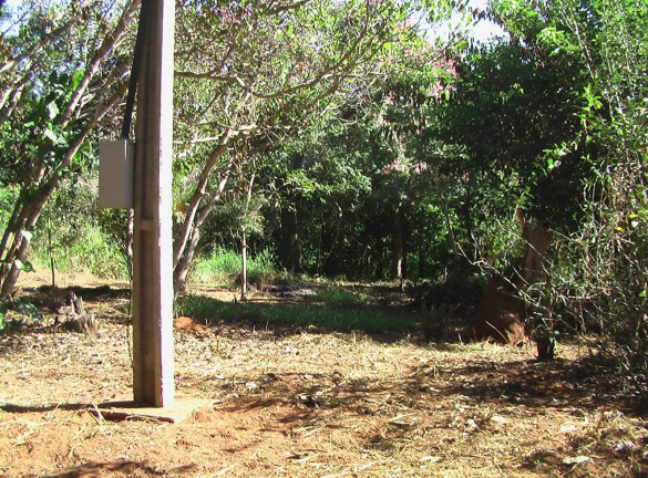 Imagem Imóvel com 1 Quarto à Venda, 21.000 m² em Zona Rural - Palmeiras (dois Irmãos Do Buriti)