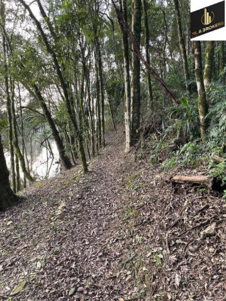Imagem Imóvel com 3 Quartos à Venda, 20.000 m² em Rocha Velha - Araucária