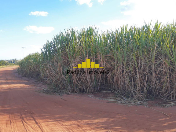 Imagem Chácara à Venda, 109 m² em Centro - Guzolândia Imagem Chácara à Venda, 109 m² em Centro - Guzolândia