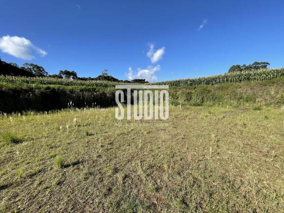 Imagem Terreno à Venda, 50.000.000 m² em Santa Clara - Carlos Barbosa Imagem Terreno à Venda, 50.000.000 m² em Santa Clara - Carlos Barbosa