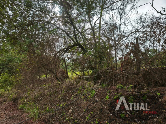 Imagem Terreno à Venda, 353 m² em Jundiaizinho (terra Preta) - Mairiporã