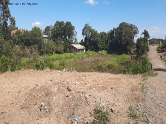 Imagem Terreno à Venda, 494 m² em Linha Olinda - Nova Petrópolis