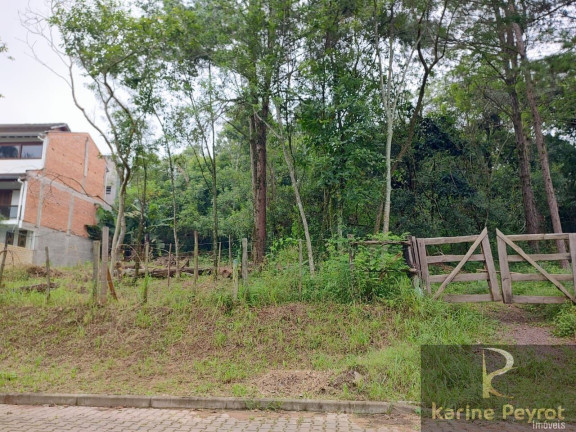 Imagem Terreno à Venda, 250 m² em Campestre - São Leopoldo Imagem Terreno à Venda, 250 m² em Campestre - São Leopoldo