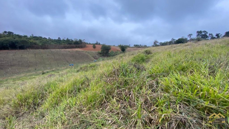 Imagem Terreno à Venda, 27.000 m² em Campo Largo - Jarinu Imagem Terreno à Venda, 27.000 m² em Campo Largo - Jarinu