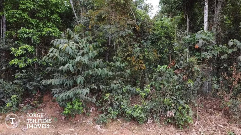 Imagem Fazenda à Venda, 95 m² em Zona Rural - Vera Imagem Fazenda à Venda, 95 m² em Zona Rural - Vera